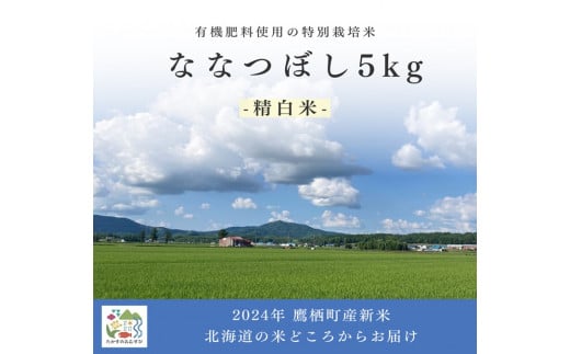 A261【令和６年産】ななつぼし（精白米）特Aランク 5kg 北海道 鷹栖町 たかすのおむすび 米 コメ ご飯 精 白米 お米 ななつぼし