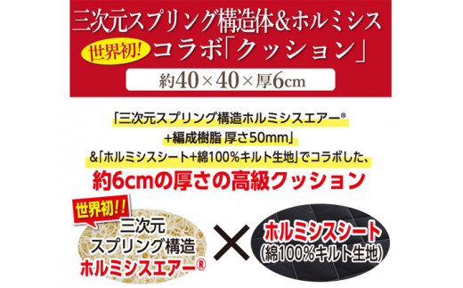 ホルミシスエアー クッション ホルミシス クッション シートクッション ラドン浴 体験 身体 バランス 細胞 活性化 三次元 スプリング構造 綿100% 一年中 ムレない 快適 効果 半永久的 洗濯可能