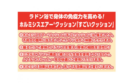 ホルミシスエアー クッション ホルミシス クッション シートクッション ラドン浴 体験 身体 バランス 細胞 活性化 三次元 スプリング構造 綿100% 一年中 ムレない 快適 効果 半永久的 洗濯可能