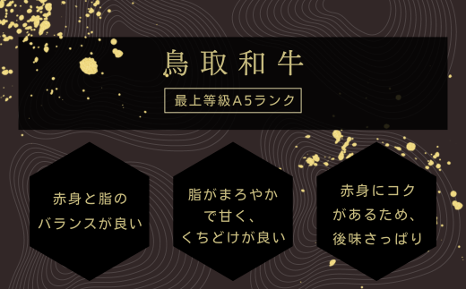 KA07：A5等級！鳥取和牛焼肉用切り落とし500g