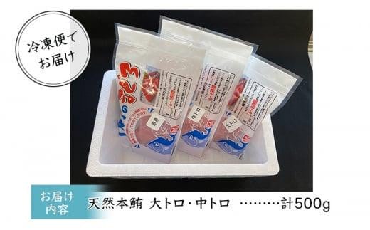 【天然】本まぐろ　大トロ・中トロ・赤身セット 500g 鮪 本鮪 本マグロ マグロ 刺身 刺し身 海鮮 サク 海の幸