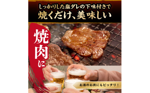 【大盛九条ネギ】 塩ダレ牛タン500g 薄切り 牛タン 九条ねぎ 味付き たん 簡単 焼肉 タン 牛肉 京都府 木津川市 特製塩だれ 牛たん 小分け タン たん 【093-02】