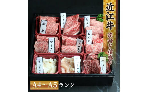 【2月発送】近江牛 焼肉 9種 盛り合わせ 360g 冷凍 A4 A5  ( 近江牛 カルビ ロース ハラミ こてっちゃん てっちゃん サーロイン 希少部位2種 赤身 和牛 黒毛和牛  ブランド和牛 近江牛 牛肉 三大和牛 近江牛  近江牛 切り落し 贈り物 ギフト 近江牛 国産 近江牛 滋賀県 竜王町近江牛 岡喜 霜降り 神戸牛 松阪牛 に並ぶ 日本三大和牛 ふるさと納税 父の日 母の日 )