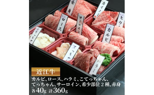 【2月発送】近江牛 焼肉 9種 盛り合わせ 360g 冷凍 A4 A5  ( 近江牛 カルビ ロース ハラミ こてっちゃん てっちゃん サーロイン 希少部位2種 赤身 和牛 黒毛和牛  ブランド和牛 近江牛 牛肉 三大和牛 近江牛  近江牛 切り落し 贈り物 ギフト 近江牛 国産 近江牛 滋賀県 竜王町近江牛 岡喜 霜降り 神戸牛 松阪牛 に並ぶ 日本三大和牛 ふるさと納税 父の日 母の日 )