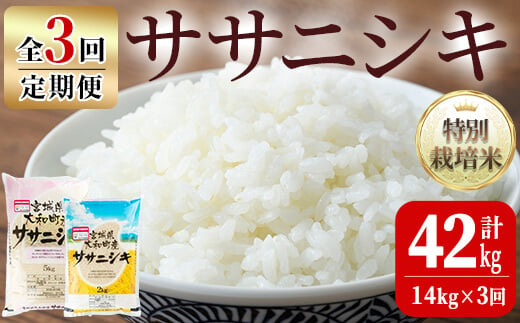 【令和6年産】＜3か月定期便＞特別栽培米 ササニシキ 14kg×3回(合計42kg) お米 おこめ 米 コメ 白米 ご飯 ごはん おにぎり お弁当 頒布会【農事組合法人若木の里】ta247