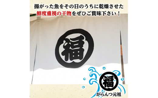 鹿児島県阿久根市産干物セット(6種) 国産 九州産 鹿児島県産 新鮮 鮮度 魚 魚介類 乾物 ひもの おつまみ おかず お弁当 珍味 一夜干し きびなご あじ いか あおさ【マルフク川畑水産】a-12-40-z