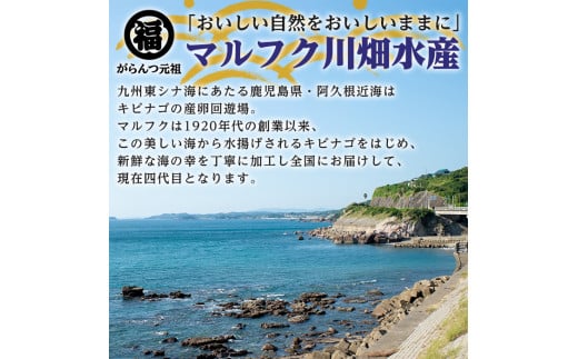 鹿児島県阿久根市産干物セット(6種) 国産 九州産 鹿児島県産 新鮮 鮮度 魚 魚介類 乾物 ひもの おつまみ おかず お弁当 珍味 一夜干し きびなご あじ いか あおさ【マルフク川畑水産】a-12-40-z