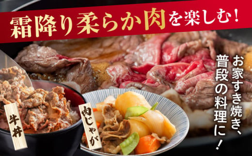 【年内配送 12月5日まで受付】艶さし！ 佐賀牛 切り落とし 肩orバラ 500g 吉野ヶ里町 [FDB006]