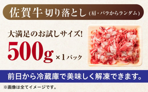 【年内配送 12月5日まで受付】艶さし！ 佐賀牛 切り落とし 肩orバラ 500g 吉野ヶ里町 [FDB006]