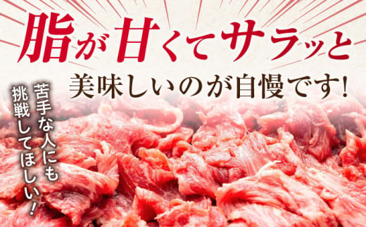 【年内配送 12月5日まで受付】艶さし！ 佐賀牛 切り落とし 肩orバラ 500g 吉野ヶ里町 [FDB006]