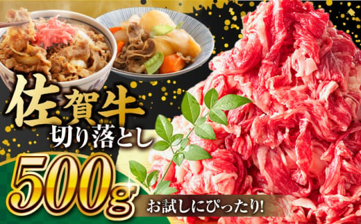 【年内配送 12月5日まで受付】艶さし！ 佐賀牛 切り落とし 肩orバラ 500g 吉野ヶ里町 [FDB006]