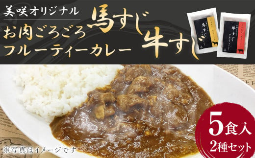 くまもと 美咲オリジナル お肉ごろごろ フルーティー カレー 200g×5袋(馬すじ×3袋、牛すじ×2袋) 計1000g