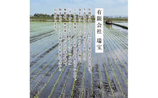 《定期便》 【5ヶ月連続】 中泊産 こだわりの有機米 白米 全50kg（10kg×5回）＜有機JAS認証＞ 【瑞宝(中里町自然農法研究会)】自然純米 有機JAS認定 有機米 米 こめ コメ お米 精米 津軽 無農薬 自然農法 農薬不使用 オーガニック 青森 中泊町 F6N-226