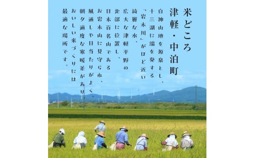 《定期便》 【5ヶ月連続】 中泊産 こだわりの有機米 白米 全50kg（10kg×5回）＜有機JAS認証＞ 【瑞宝(中里町自然農法研究会)】自然純米 有機JAS認定 有機米 米 こめ コメ お米 精米 津軽 無農薬 自然農法 農薬不使用 オーガニック 青森 中泊町 F6N-226