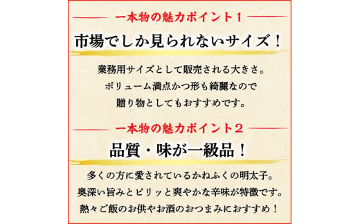 かねふく 1kg 辛子明太子 Lサイズ(1本物)6箱 [a0558] 藤井乾物店 ※配送不可：離島【返礼品】添田町 ふるさと納税