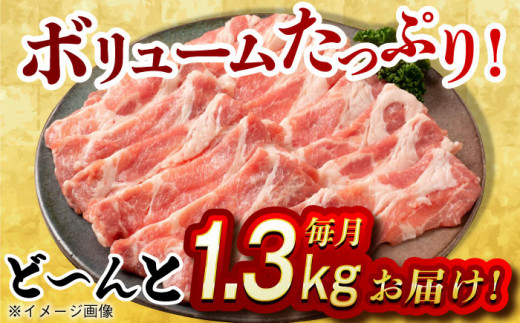 【月1回約1.3kg×3回定期便】大西海SPF豚 肩ロース（焼肉＆しゃぶしゃぶ用）計3.9kg 長崎県/長崎県農協直販 [42ZZAA065] 肉 豚 ぶた ブタ ロース 焼肉 焼き肉 しゃぶしゃぶ 小分け 西海市 長崎 九州 定期便