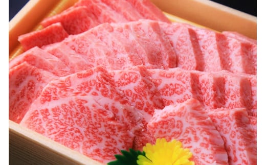 【神戸ビーフ素牛】特選 黒田庄和牛（焼肉用ロース：500g）(30-7)