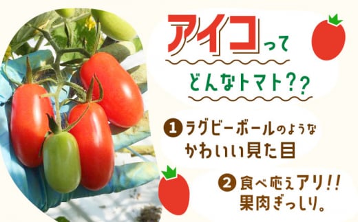 トマト とまと トマト フルーツトマト 野菜 人気 贈答 ギフト プレゼント