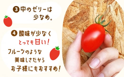 トマト とまと トマト フルーツトマト 野菜 人気 贈答 ギフト プレゼント