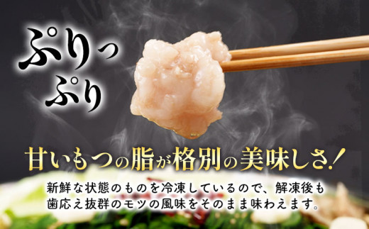 チーズとトマトのローマ風もつ鍋（2～3人前） 株式会社ビーキューブ《30日以内に出荷予定(土日祝除く)》福岡県 鞍手郡 鞍手町 もつ鍋 セット ローマ風もつ鍋 博多 牛モツ 鍋 トマト鍋 トマト チーズ パスタ