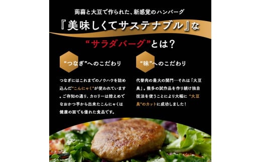 【原料は100%植物由来】サラダバーグ・アスリート（たんぱく質強化でカレー味）8個セット F21K-237