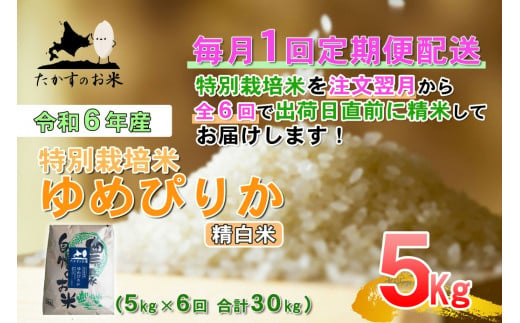 F015 　定期便【令和６年産】ゆめぴりか（精白米）5㎏×6回 特Aランク 北海道 米 を代表する人気の品種 北海道 鷹栖町 たかすのお米 特別栽培米 米 コメ ご飯 精 白米 お米 ゆめぴりか