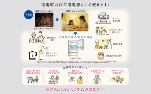 国産セル 蓄電池･パワーコンディショナー セット