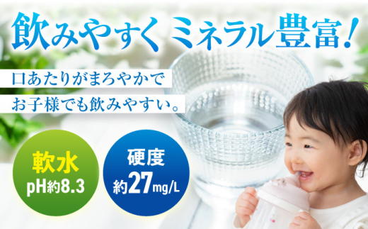 【全6回定期便】 日田天領水 500ml×24本 日田市 / グリーングループ株式会社 [AREG036]