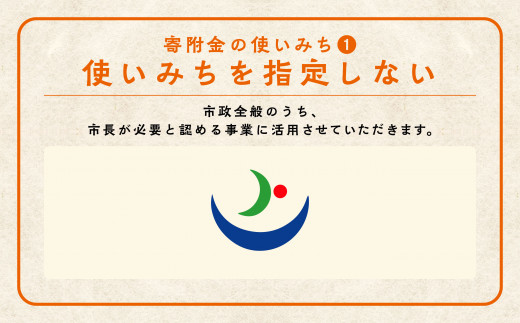 応援寄附金（返礼品なし）10,000円