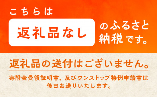 応援寄附金（返礼品なし）10,000円