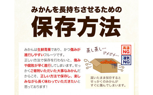 [秀品]和歌山 有田みかん 約 4kg(2Lサイズ) 厳選館《11月中旬-1月末頃出荷》和歌山県 日高川町 有田みかん みかん 柑橘 ミカン 送料無料