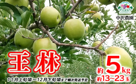 [No.5657-2660]王林 約5kg (約13～23玉) 《中沢農園》■2024年発送■※11月上旬頃～12月下旬頃まで順次発送予定