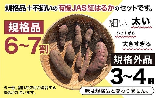 【有機JAS】 紅はるか 10kg さつまいも 甘藷 無農薬 オーガニック 〈サイズ不揃い〉 訳あり