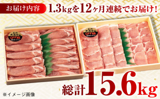 【月1回約1.3kg×12回定期便】大西海SPF豚 背ロース（焼肉＆しゃぶしゃぶ用）計15.6kg 長崎県/長崎県農協直販 [42ZZAA083] 肉 豚 ぶた ブタ ロース 焼肉 焼き肉 しゃぶしゃぶ 小分け 西海市 長崎 九州 定期便