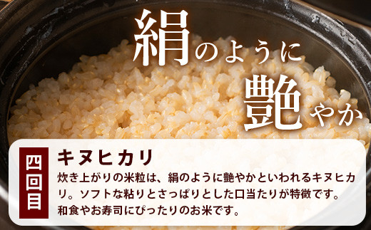 【定期便 4回配送】那賀町のお米（玄米）4種 バラエティ 食べ比べ 定期便 10kg × 4回 (合計40kg)［徳島 那賀 国産 お米 こめ おこめ 米 ご飯 ごはん 和食 おにぎり お弁当 4ヶ月 4ヵ月 げんまい 玄米 10kg 10キロ あきさかり ヒノヒカリ コシヒカリ キヌヒカリ 父の日 敬老の日 お中元 お歳暮 ギフト 送料無料］【YS-8】