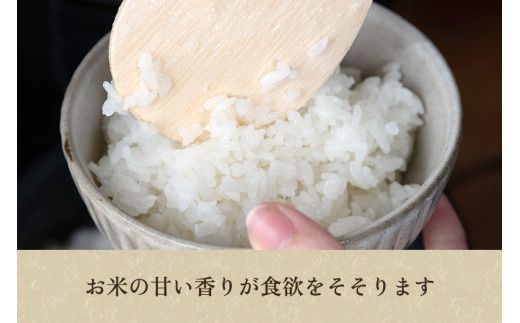 【令和6年産新米先行予約】新潟産コシヒカリ「雪椿米」特別栽培米 精米10kg （5kg×2袋）白米真空パック 従来品種コシヒカリ 加茂市 織原農園