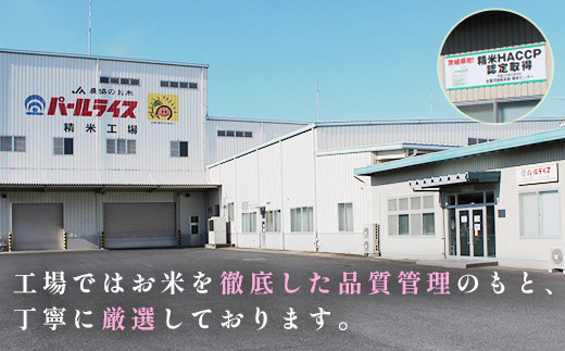 472 ミルキークイーン 10kg 5kg × 2袋 茨城県産 人気 銘柄 令和6年