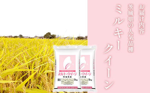 472 ミルキークイーン 10kg 5kg × 2袋 茨城県産 人気 銘柄 令和6年