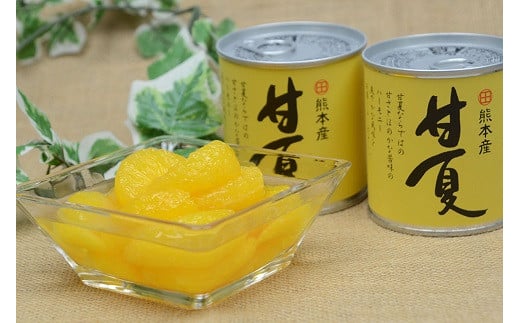 B45-12 甘夏缶詰（10缶入）