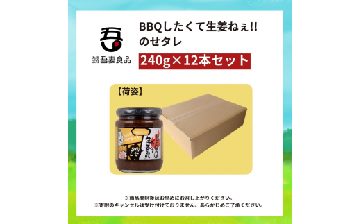 BBQしたくて生姜ねぇ!!のせタレ12本セット 【しょうが 国産 醤油漬け バーベキュー 焼肉 たれ ごはんのお供 お弁当 調味料 おつまみ 肴 薬味 隠し味 猪苗代町 福島県】[№5771-1333]