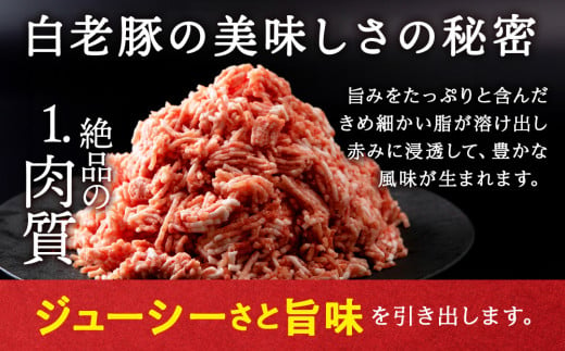 【定期便 3カ月】 北海道産 白老豚 ハンバーグ 120ｇ×15個 セット 冷凍 洋食 おかず