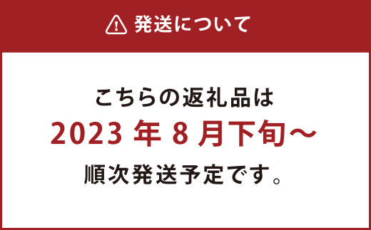 【2023年8月下旬発送開始】熊本市産 芳野梨 旬の品種 5kg なし ナシ 梨 果物 フルーツ