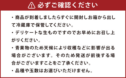 熊本市産 芳野梨 旬の品種 5kg