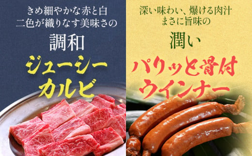 たっぷり 約1kg まんぷく セット (牛肉・豚肉・フランクフルト) 国産 冷凍  ミックスホルモン カルビ ロース