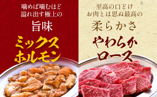 たっぷり 約1kg まんぷく セット (牛肉・豚肉・フランクフルト) 国産 冷凍  ミックスホルモン カルビ ロース