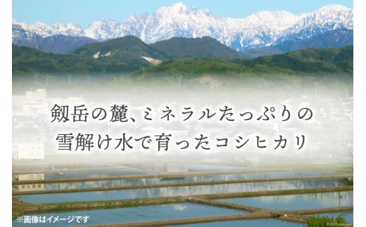 上市町産 コシヒカリ ( 5kg ) /里山の駅 つるぎの味蔵 / 富山県 上市町 [32280004] 米 お米 ごはん 白米 精米 こしひかり