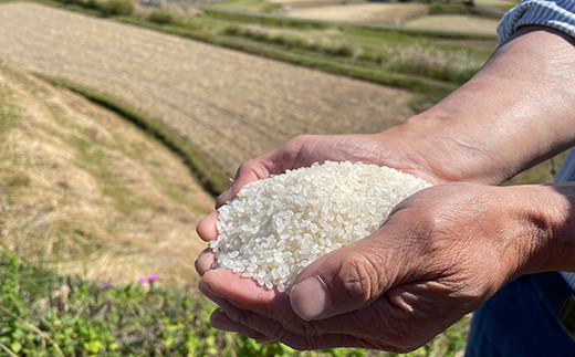 井原市美星町産コシヒカリ【精米】星の郷 美山米 ２kg