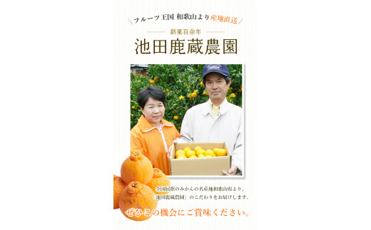 家庭用 不知火4kg+150g（傷み補償分）【デコポンと同品種・人気の春みかん】【わけあり・訳あり】＜2月より発送＞【ikd163A】