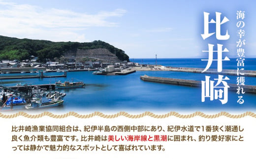 和歌山県産 さば コロッケ 40個 8個 × 5袋 比井崎漁業協同組合《30日以内に出荷予定(土日祝除く）》和歌山県 日高町 惣菜 コロッケ 鯖 鯖コロッケ おかず お弁当 冷凍 送料無料