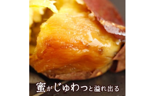 冷たい焼き芋 500g×12袋入 素材そのまま！工場直送 [0231]